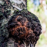 Valentine's Day Care Box